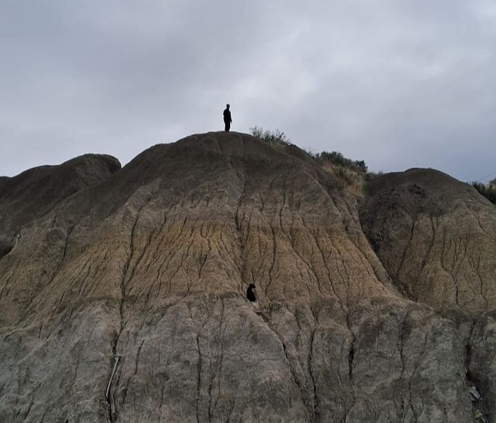 El cerro vuelve a ser noticia: perrito atrapado moviliza a bomberos en Comodoro