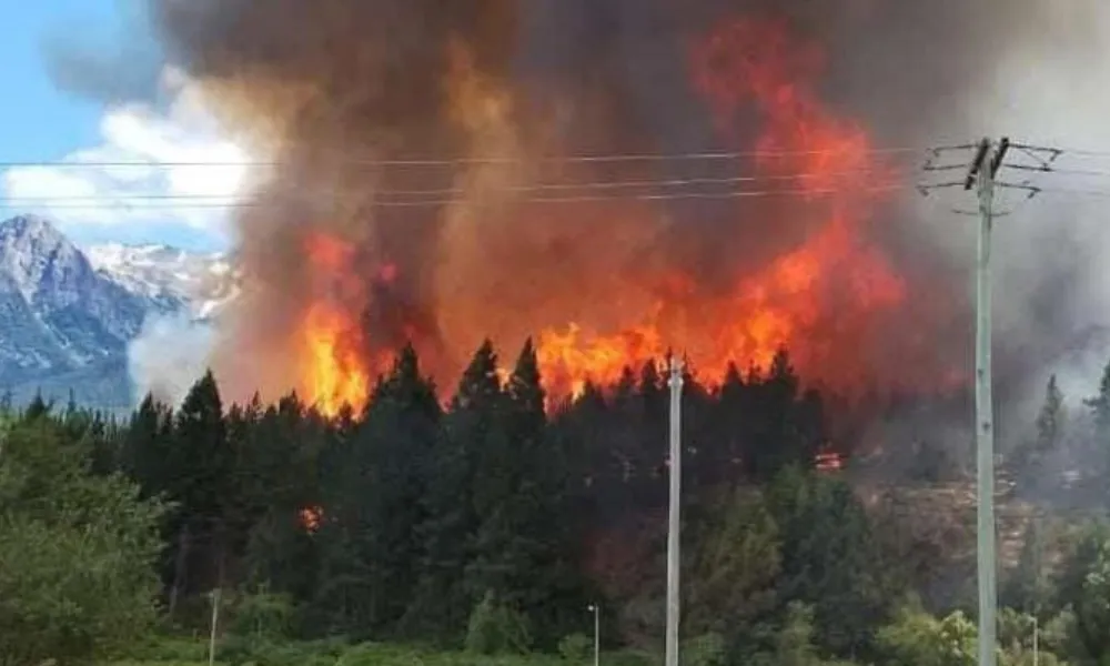 Gran incendio forestal en Epuyén: evacúan zonas afectadas ante el avance de las llamas