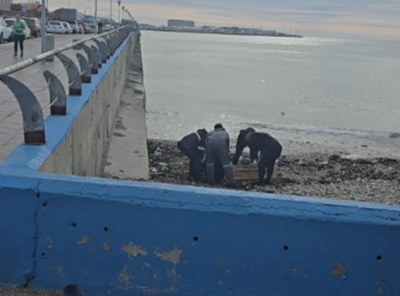 Hallan el cuerpo de un hombre flotando en el Paseo Costero de Comodoro